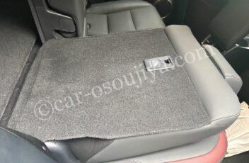 case-photo